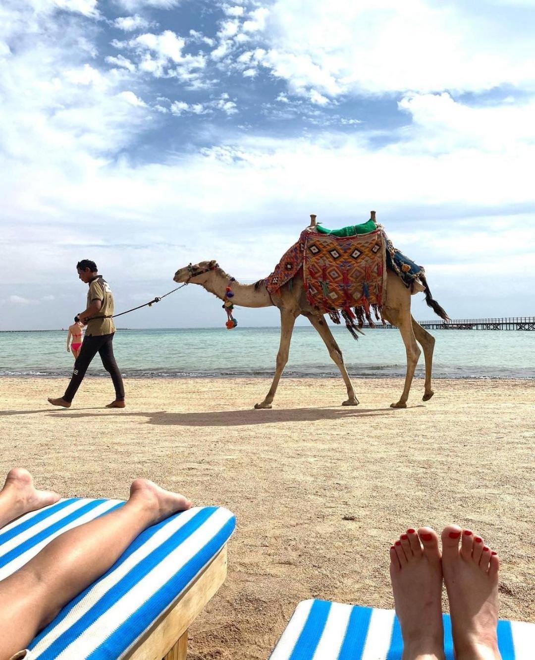 Romance Regency Club (Adults Only) Sharm el Sheikh Esterno foto